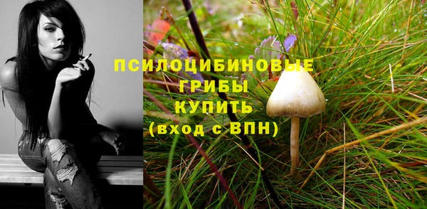 первитин Дмитровск