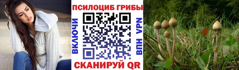 Псилоцибиновые грибы ЛСД купить цена Невинномысск