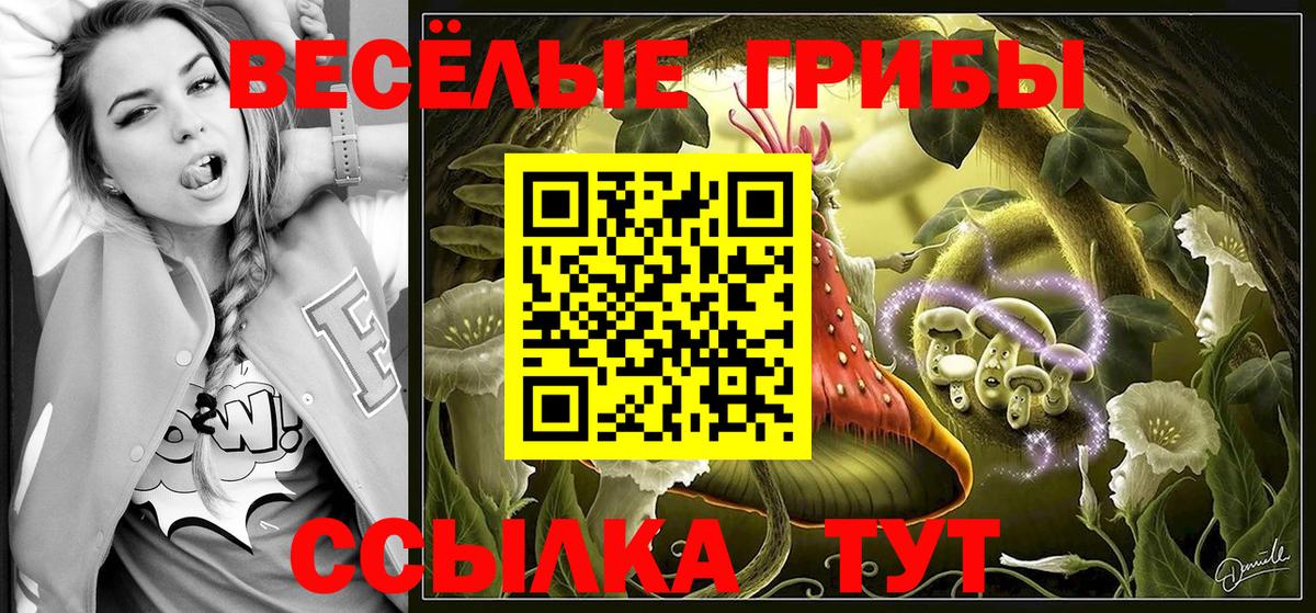 Галлюциногенные грибы Cubensis Невинномысск